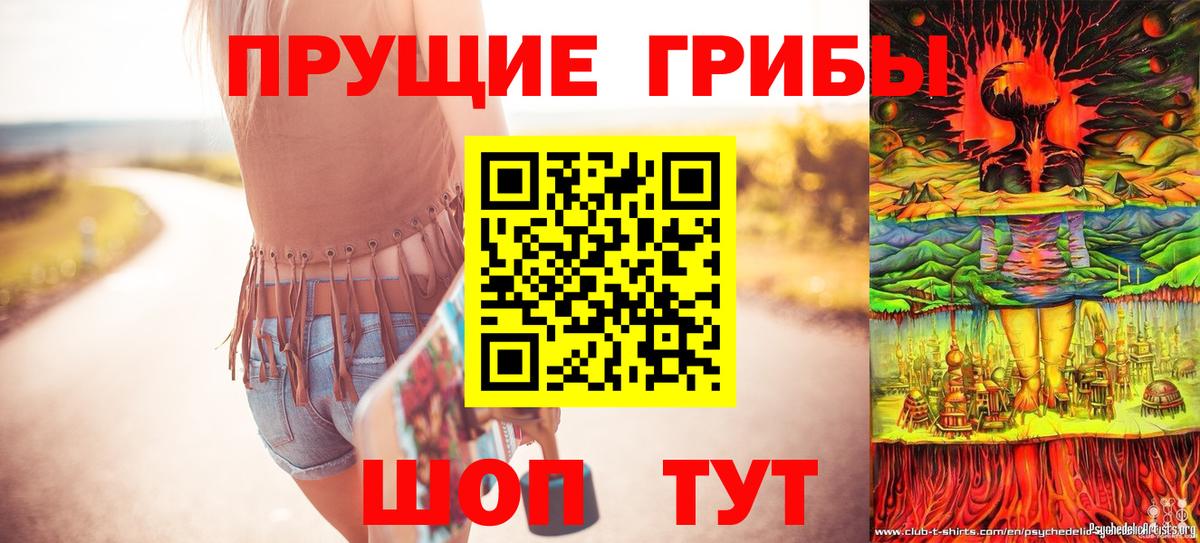 Галлюциногенные грибы мицелий  Псилоцибиновые грибы Psilocybine cubensis  Всеволожск  Вход с VPN 